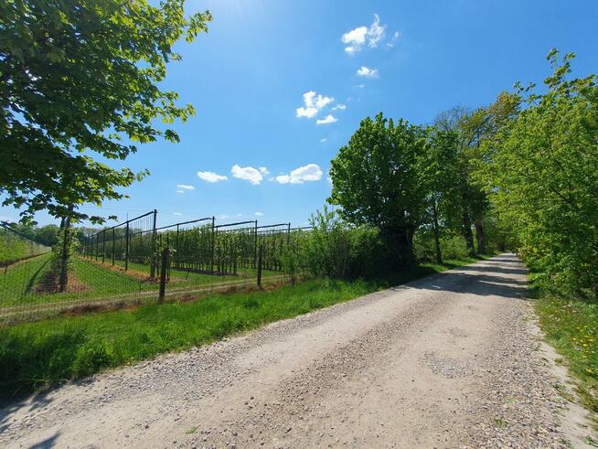 Działka budowlana Wiązowna