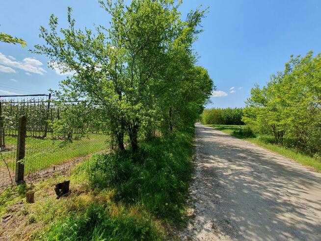 Działka budowlana Wiązowna