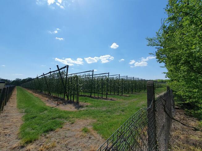 Działka budowlana Wiązowna