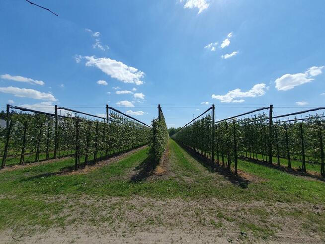 Działka budowlana Wiązowna