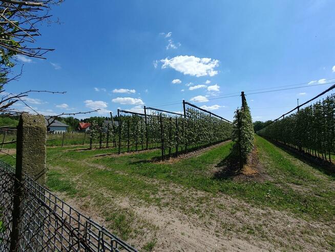 Działka budowlana Wiązowna