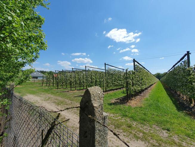 Działka budowlana Wiązowna