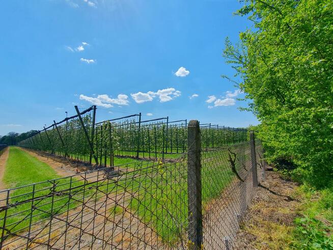 Działka budowlana Wiązowna