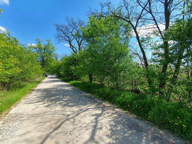 Działka budowlana Wiązowna