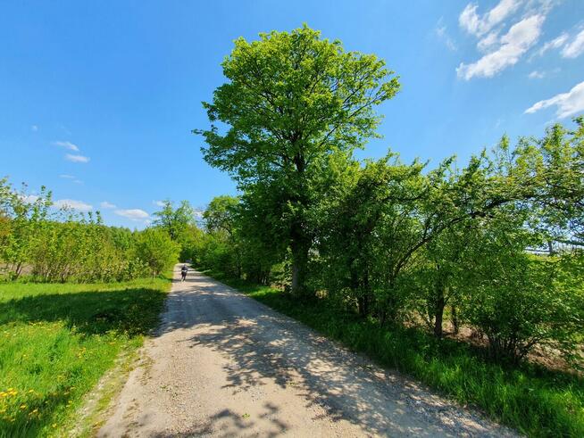 Działka budowlana Wiązowna