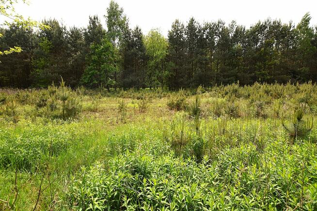 Działka przemysłowa Słotwiny gm. Karczmiska