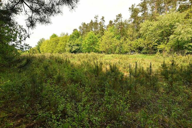 Działka przemysłowa Słotwiny gm. Karczmiska