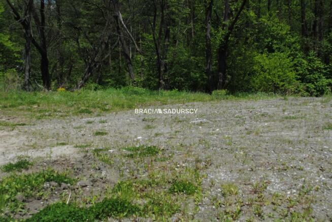 Działka leśna Kraków Swoszowice, Podgórki
