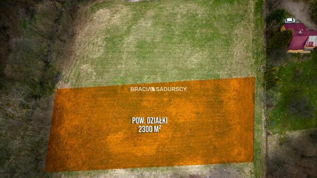 Działka leśna Mogilany, Leszczynowa