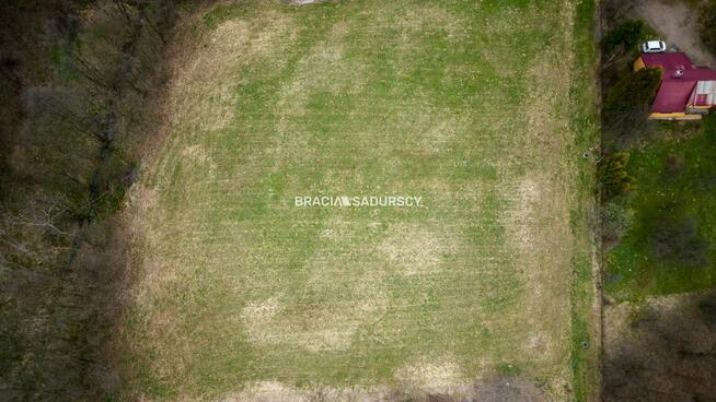 Działka leśna Mogilany, Leszczynowa