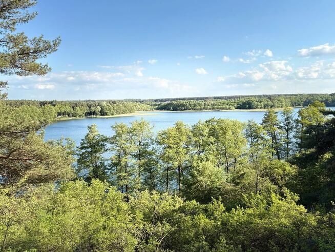 Sprzedam dzialke na Kalinie obok Gniezna, obok las i jezioro