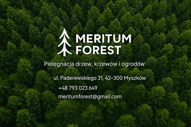 !Pielęgnacja i wycinka drzew, krzewów i ogrodów!