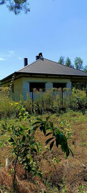 Usługi Dekarsko-Ciesielskie