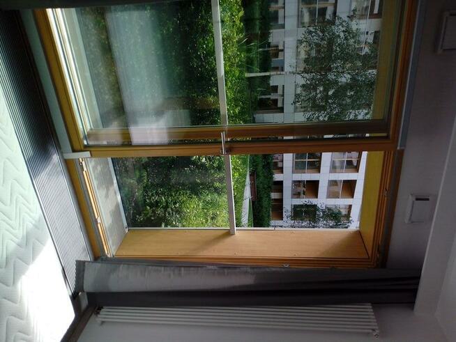 Do wynajęcia apartament dwupokojowy 37m2