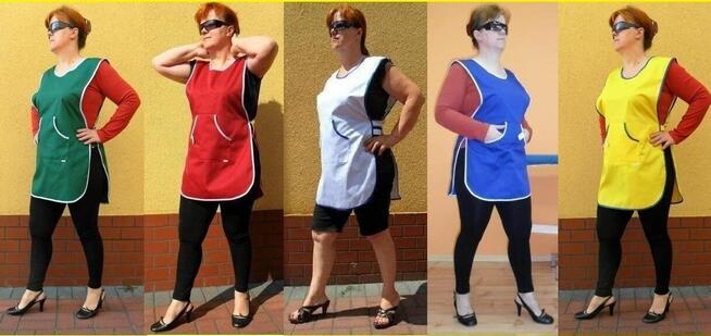 Fartuchy stylonowe Motylek cena 13,75 zł.Producent