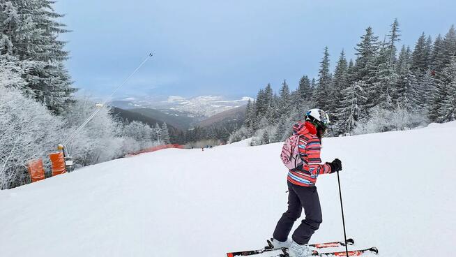 Poszukuję fajnej dziewczyny z Wrocławia lub z Dolnego Śląska