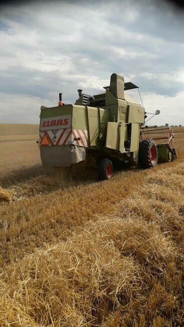 Sprzedam CLAAS mercator