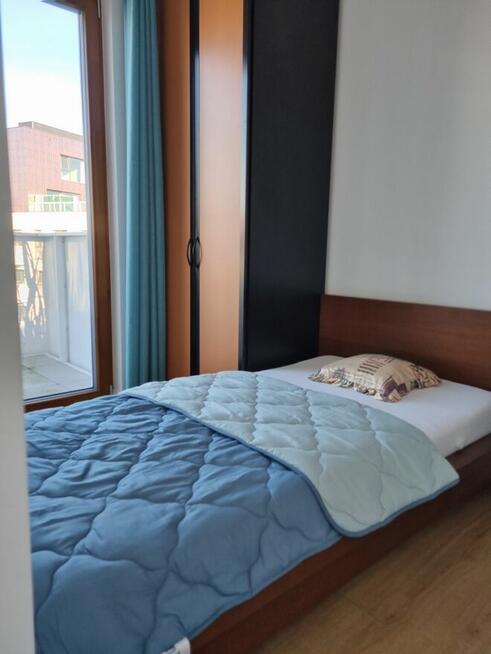 Mieszkanie do wynajecia