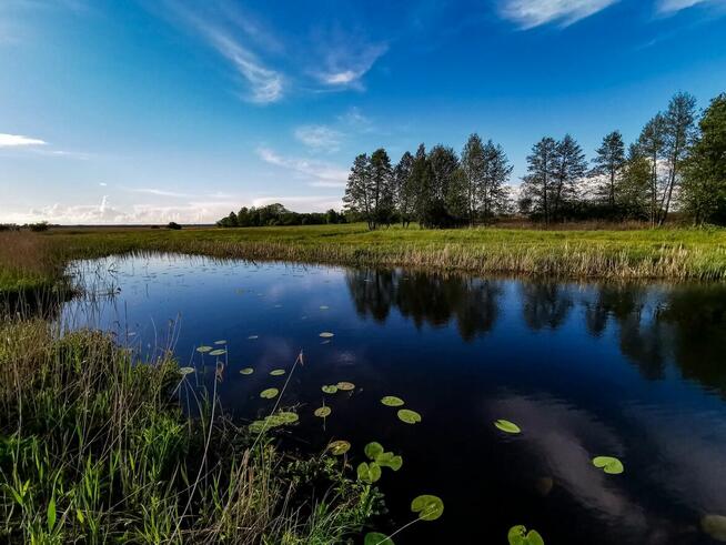 SPRZEDAM 2 DZIAŁKI 3000 M2 - ŚLIWNO, GM. CHOROSZCZ