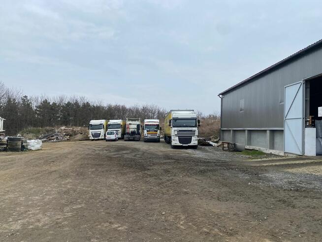 syndyk sprzeda samochód cieżarowy marki DAF XF 460