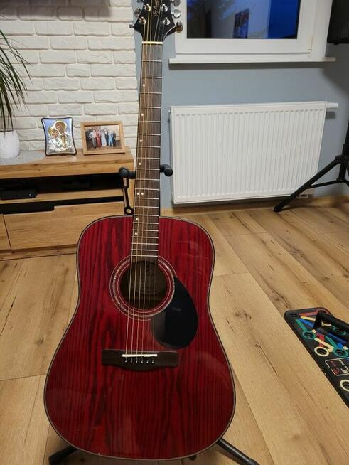 Gitara akustyczna Samich D-4/TR