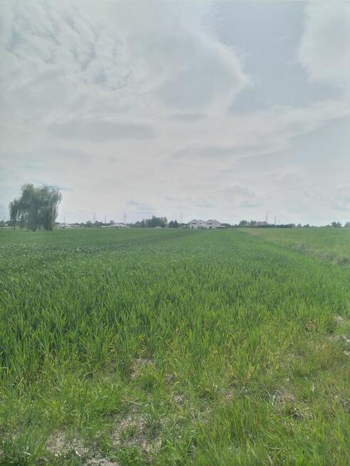 Działka budowlana Podzamcze powiat Łęczyński