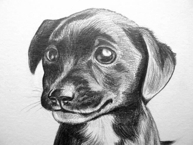 Portret ołówkiem ze zdjęcia – rysunek na zamówienie