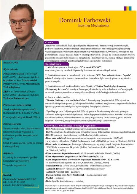 Inżynier mechatronik, doświadczenie konstruktora, 25-latek