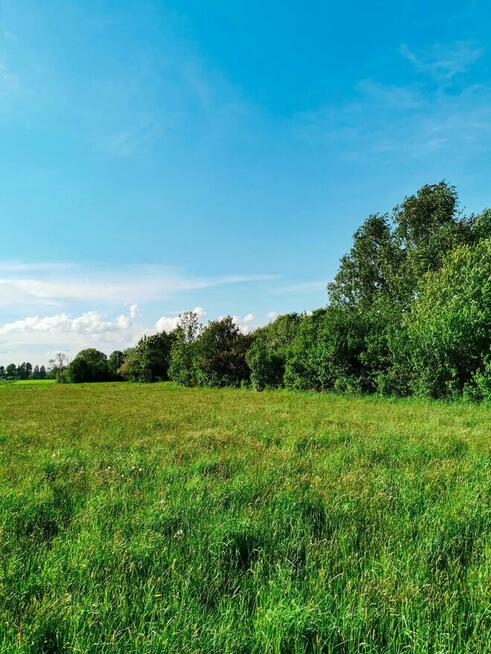 SPRZEDAM 2 DZIAŁKI 3000 M2 - ŚLIWNO, GM. CHOROSZCZ