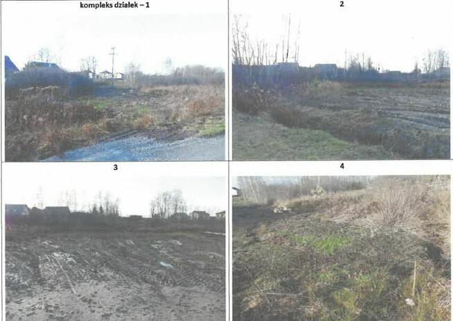Likwidator sprzeda działkę – pastwiska trwałe
