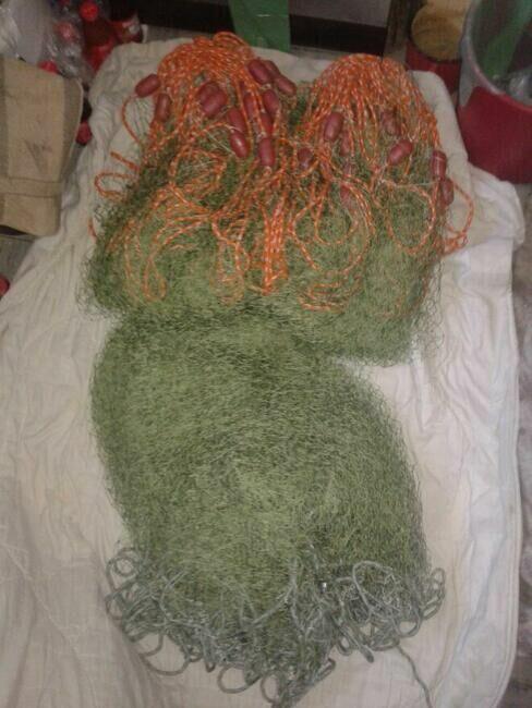 siatka na ryby siec rybacka sieci rybackie siatki