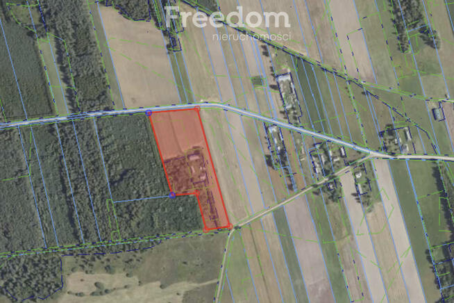 Dom w Kopytowie z dużą działką przy lesie