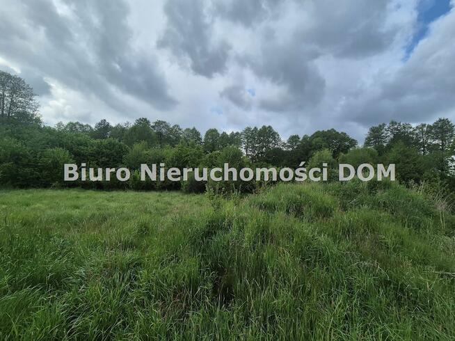 Działka rolna Brzeziny-Kolonia gm. Poczesna