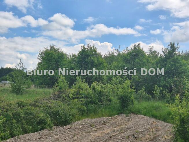 Działka rolna Brzeziny-Kolonia gm. Poczesna