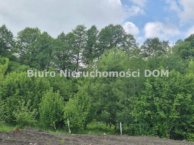 Działka rolna Brzeziny-Kolonia gm. Poczesna