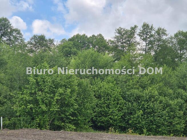 Działka rolna Brzeziny-Kolonia gm. Poczesna