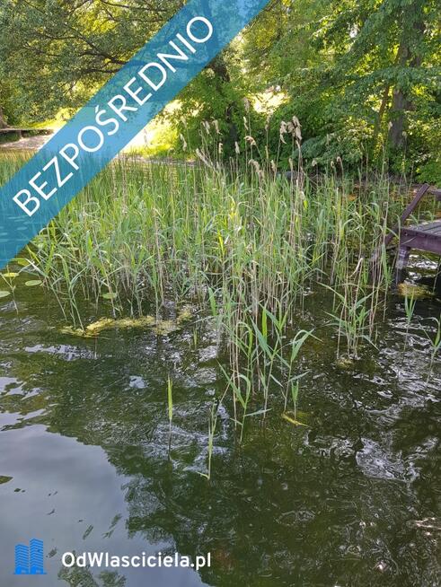 Sprzedan dzialke nad jeziorem Pierwoj