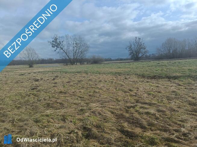 Działka rolna Stawki, pow. 3703 m2