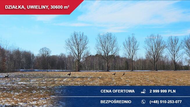 Działka budowlana 3ha Uwieliny (gm. Prażmów) z MPZP!