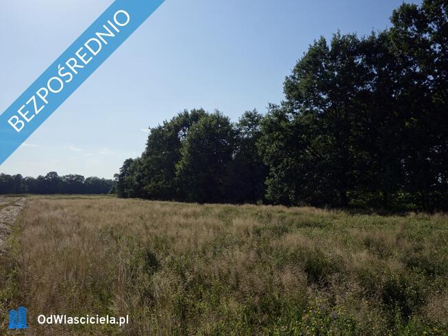 Skoczów Ochaby 62ar pod lasem nadaje się pod rekreacje