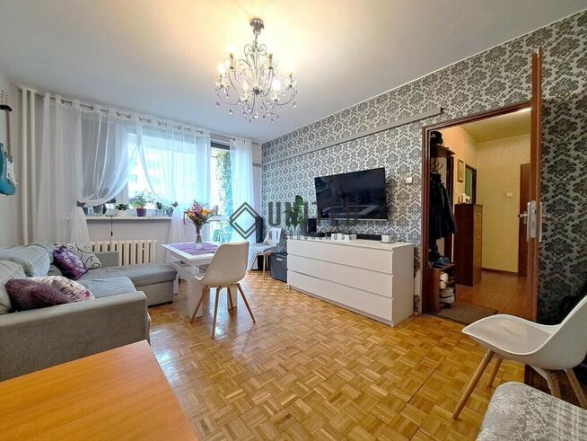 ul. Hallera- Rozkład/Piwnica/Balkon