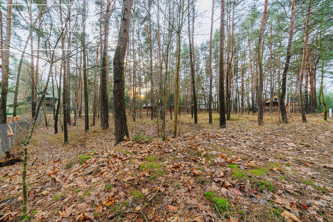 Działka rekreacyjna Nowy Lubiel gm. Rząśnik, Zakątek