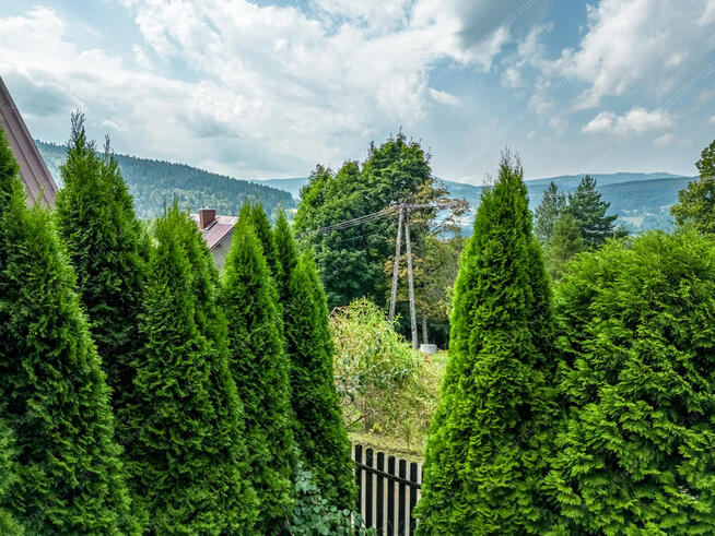 Domek całoroczny blisko lasu