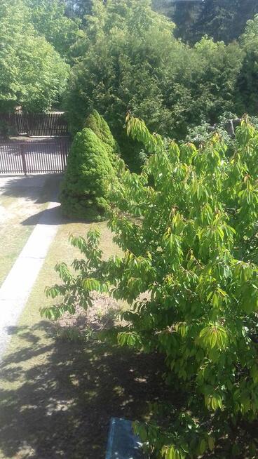 Na sprzedaż dom wolnostojący z poddaszem w Otrębusach