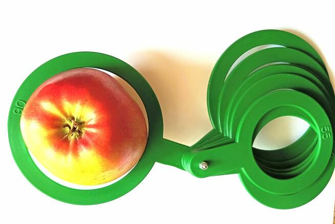 Gruszka Klapsa Faworytka Najtaniej od 1,50-2 zł.za kilogram