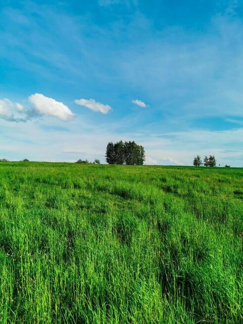 SPRZEDAM 2 DZIAŁKI 3000 M2 - ŚLIWNO, GM. CHOROSZCZ