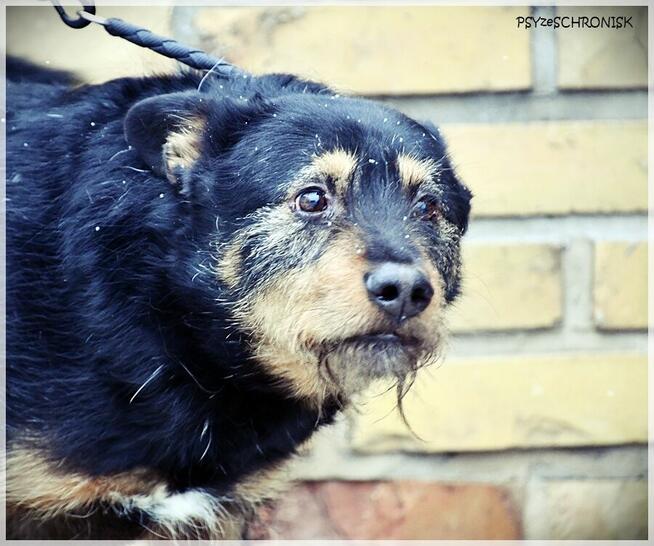 Wacek – „przepraszam, że żyję” – pokaż mu, że jest wyjątkowy