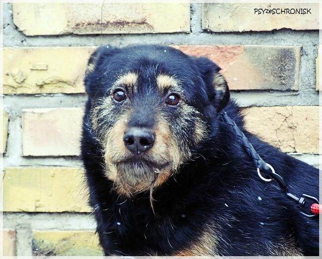 Wacek – „przepraszam, że żyję” – pokaż mu, że jest wyjątkowy