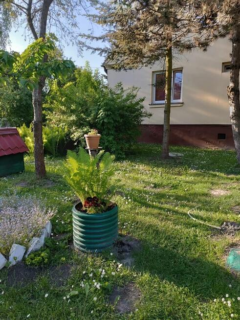 Mieszkanie do wynajęcia