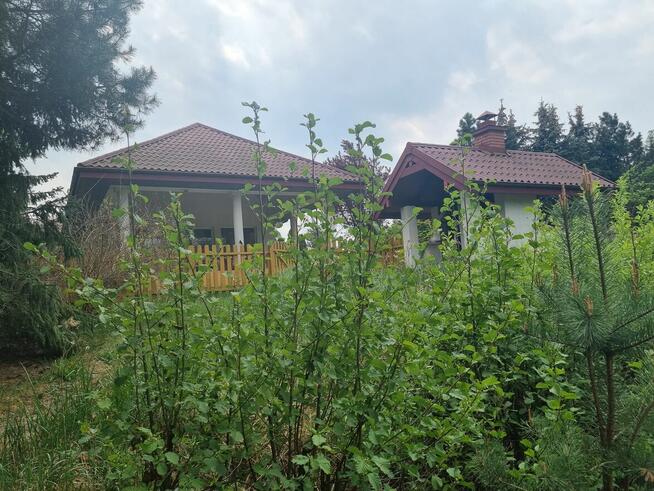 Wolnostojacy, Działka 3001m2,Garaż na 2 samochody